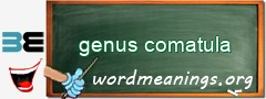 WordMeaning blackboard for genus comatula